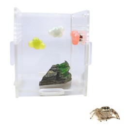 pranovo 3 Pack Jumping Spider Cloud Ledge for Pet Spider Jumping Spider Magnetic Ledge Jumping Spider Enclosure Accessories