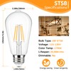 Brightever 4-Pack Vintage LED Edison Bulbs 60W Equivalent, 6W ST58