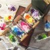 Teat Sight Preserved Flower Flower Bottle Gift Box Soleil (Rose,