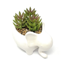 Nature's Mark 4.7" H Succulent in Elephant White Ceramic Planter, Modern and Simple Stylish Design Artificial Plants
