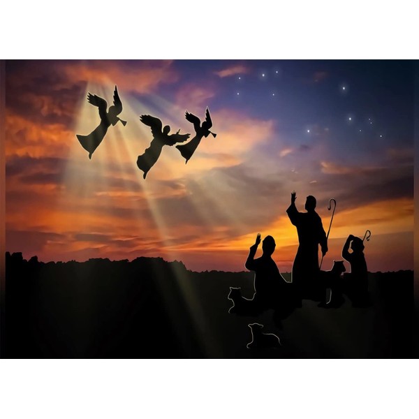 BELECO Fabric 8x6ft Birth of Jesus Backdrop Star Night Holy