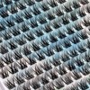 DIWINSH Short Eyelash Clusters, 144 Pieces, 10 mm, Natural Eyelash