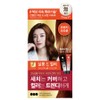 Elastin Salon de Color & Gray Hair Dye Cream, Orange Brown, 1 pack / 엘라스틴 살롱 드 컬러 앤 새치 염색 크림, 오렌지브라운, 1개