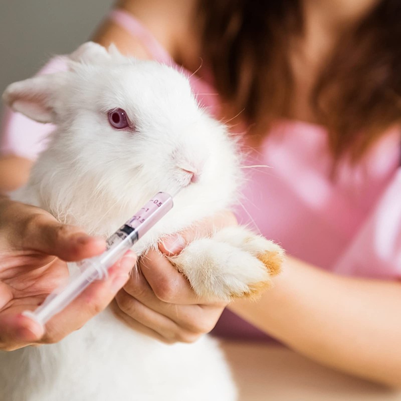 Chouiery 50本セット シリンジ 3ml 針なし 注射器 滅菌 個装 インジェクター カテーテル