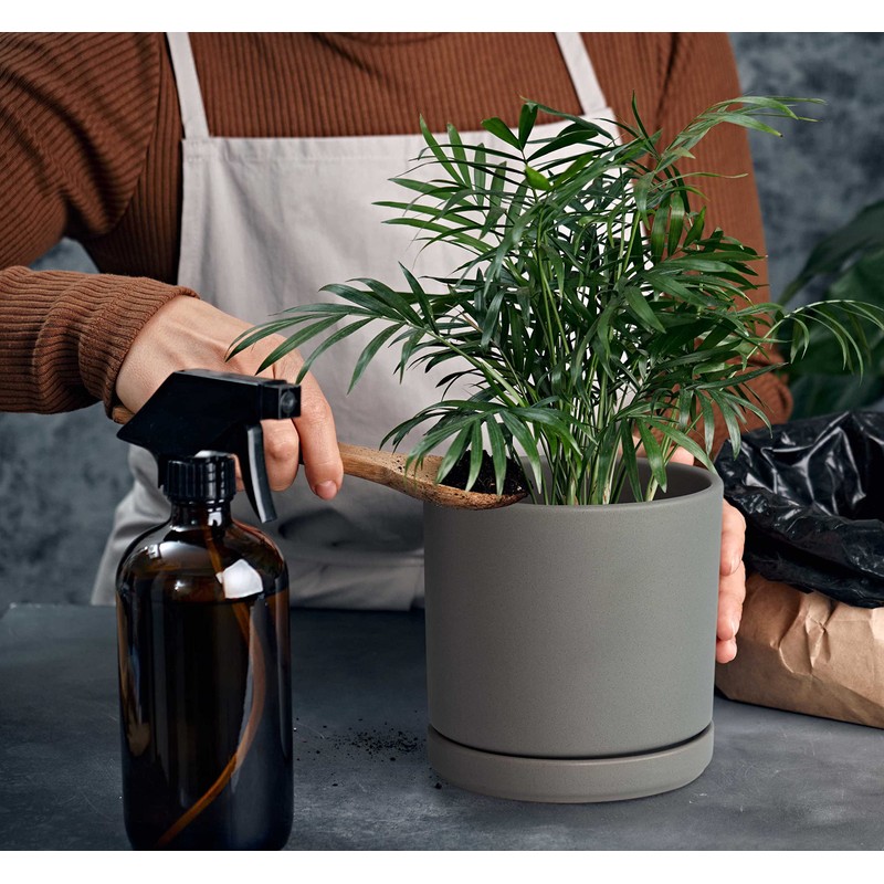 D'vine Dev 6 Inch & 8 Inch Ceramic Planter Pots