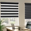 CLAIREHAN Zebra Blinds Blackout & Light Filtering Light Control Window