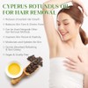 GOGIFTGO Aceite De Cyperus Rotundus Aceite De Cyperus Aceite De