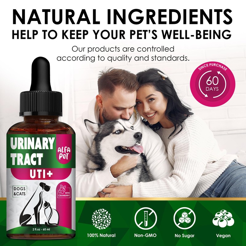 Сat Urinary Tract Infection Treatment with Cranberry – Dog UTI