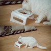 Tilted Raised Elevated Food or Water Bowl Stand for Cat