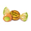 Werther's Original Hard Apple Filled Caramel Candy, 5.5 Oz Bags