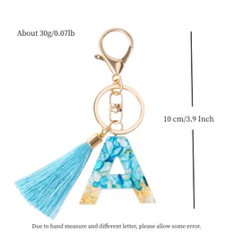 Fario Alphabet Resin Initial Letter Keychain Tassel Pendant Key Ring for Purse Handbags Women Girl Tassel Initial Letter Keychains (W)