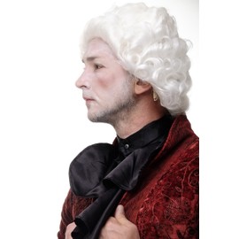 Wig Me Up – High Quality Antique Renaissance Man White Baroque Wig Curls Wig H9033 1001