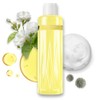 KABOSU Shampoo Humectante para Cabello Seco 300 mL