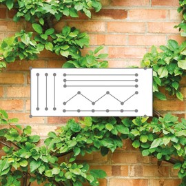 SPAGO Plant Climbing Aid with Wire Rope (Diameter 2 mm) and Hook - Trellis for Climbing Plants, 10 m Rope with Accessories for Wall Mounting