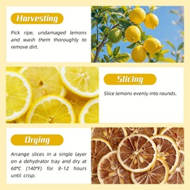 Haomly Dried Lemon Slice Wheels |10.5oz/300g| 100% Natural Dehydrated Lemons for Cocktails,Garnishing,Cooking, Baking, Drinks,Crafts |No Added Sugar Dry Lemon Tea |No Additives