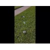 ValveMapper Lawn Valve Locator Chat-R-Box® PRO w/LED, Valve Finder, find