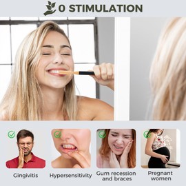 BMBO Manual Toothbrush with Aluminium Handle & 3 Replaceable Ultra-Soft Nano Bristle Bamboo Heads - Eco -Friendly, Durable, Non-Plastic Oral Care for Sensitive Gums & Travel