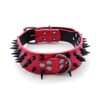 haoyueer Sharp Spiked Studded Dog Collar 2 Inch Width Stylish