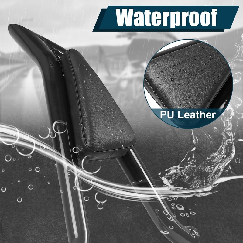 DSISIMO Detachable Passenger Backrest Sissy Bar With Locked Rotary Docking