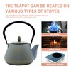SECHUDO Teapot with Stainless Steel Infuser for Loose Tea, Cast