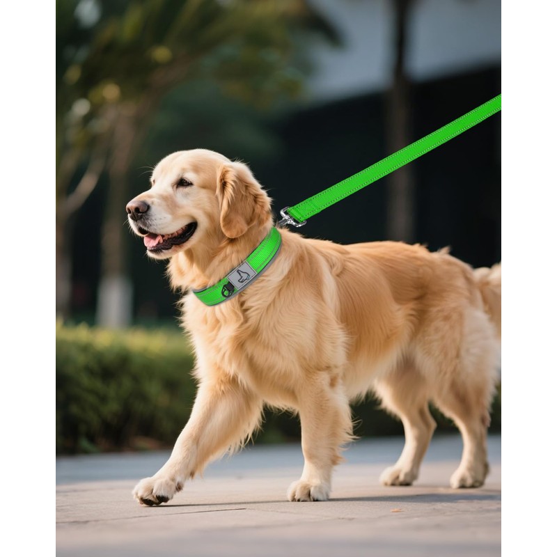 Joytale Dog Collar for Extra Large Dogs, Neoprene Padded and