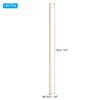 PATIKIL 1/8 x 6 Inch Dowel Rods Wood Sticks, 50