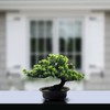 Artificial Bonsai Tree - Fake Plants for Home Decor, Bookshelf