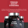AMALTH Paneer Doda Extract 1000 mg, 120 Capsules Non-GMO &