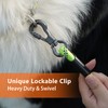 NTR 15FT Training Leash for Dogs, Nylon Rope Dog with