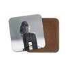 1 x Beautiful Owl Coaster - Winter Snow Bird Birds