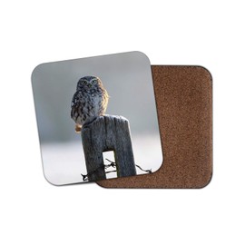 1 x Beautiful Owl Coaster - Winter Snow Bird Birds Garden Wildlife #8890