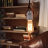 Cerdeco PD023 Subtle Presence, Simple and Stunning Beauty, Bare Light