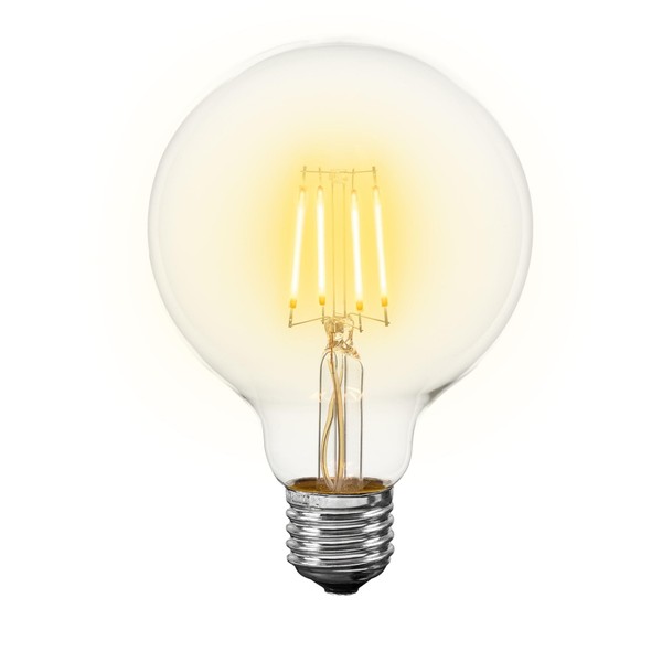 Novelty Lights 4 Pack G95 Edison Style LED Globe Light
