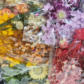CoolCrafts 6 Color Themes Natural Dried Flowers Small Real Dry Flower for Resin, Soap Making, Greeting Cards, Craft Projects