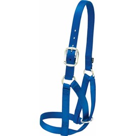 Weaver Leather Livestock Cow Barn Halter , Blue, Medium