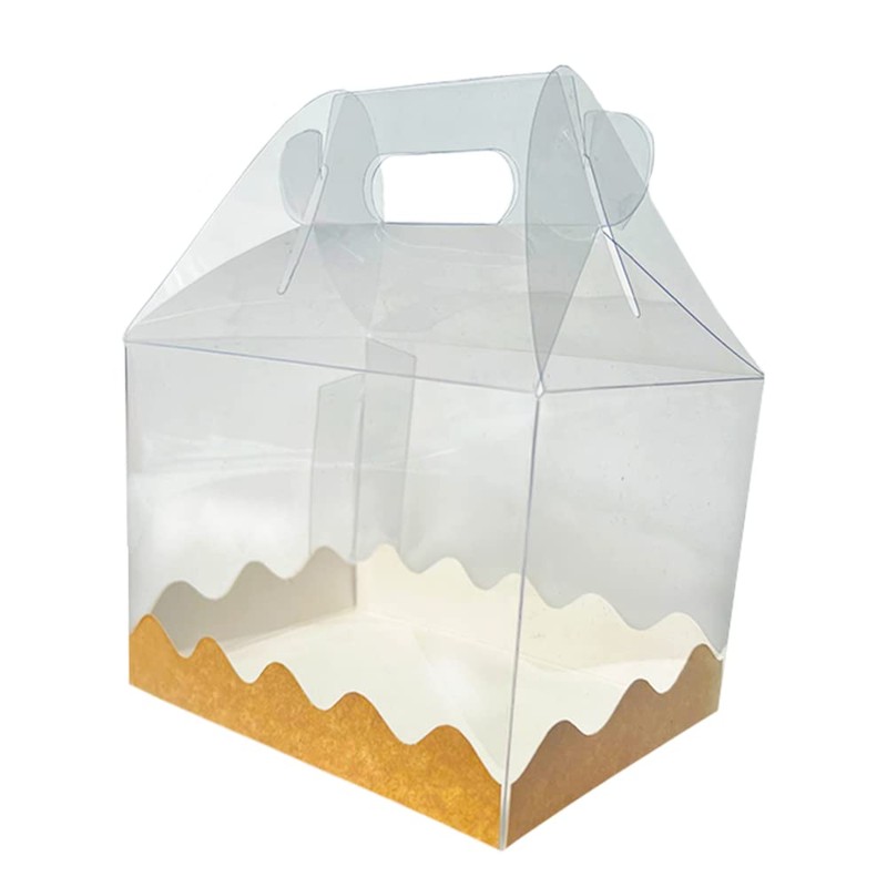 Paquete 12 Piezas Lonchera tipo Box Lunch de Acetato -