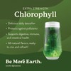 Nature's Sunshine Chlorophyll Stick Packs: Supercharge Your Detox and Boost