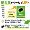 シードコムス イチョウ葉エキス サプリメント 30粒 DHA EPA 配合