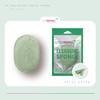ARIANA Konjac Facial Sponge Oval Aloe Green 308A Bath Cleansing