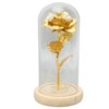 Rose in Glass Dome Lucky Beautiful Symbolism Romantic Enchanted Rose