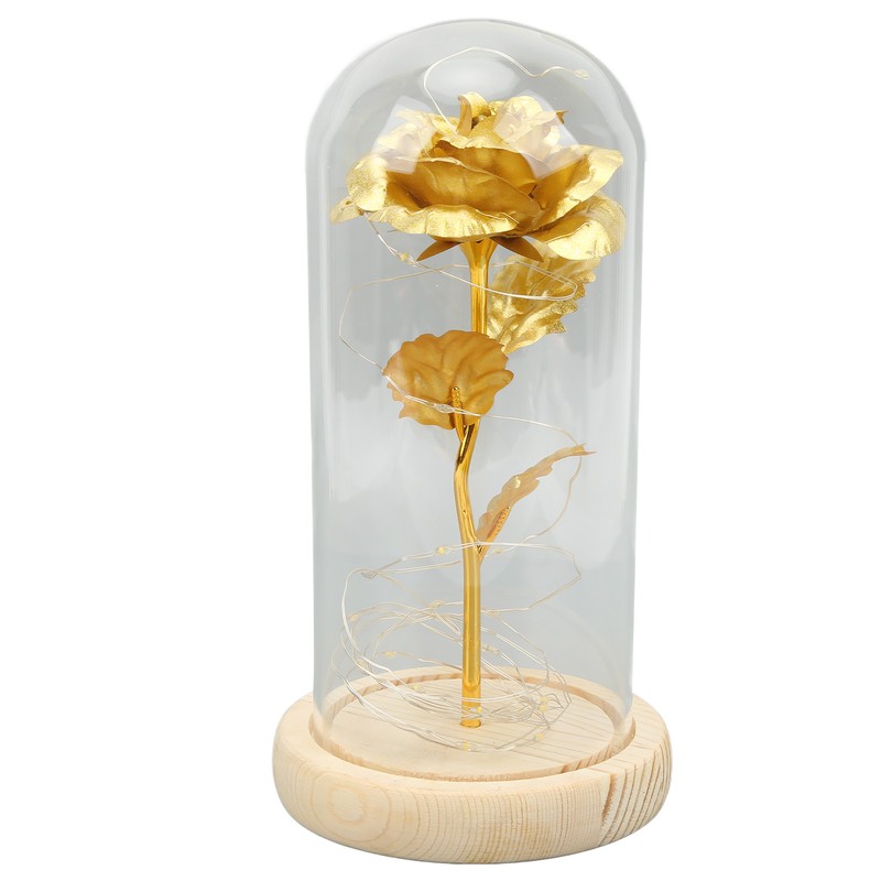 Rose in Glass Dome Lucky Beautiful Symbolism Romantic Enchanted Rose
