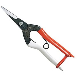 岡 恒 Buds Cutting Scissor (Box Pack) No. (A Little Bit Of... 304 