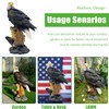 Noegrus 13.2" Real Eagle Statue, Funny Resin Bird Sculpture, Garden
