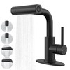 FROPO Bathroom Sink Faucet with Pull Down Sprayer - Matte