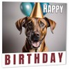 Rhodesian Ridgeback Birthday Card 147 x 147mm