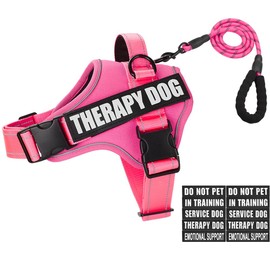 Dog Vest Harness and Leash Set, Animire Reflective Service Dog Vest with 10 Patches, 3 Rings No Choke Pet Vest for Leash Placement, in Training Dog Harness for Small Medium Large Dogs(Hot Pink,L)
