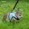 Niteangel Adjustable Soft Harness with Elastic Leash for Rabbits (L,