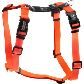 Blue-9 Buckle-Neck Balance Harness, Fully Customizable Fit No-Pull Harness, Ideal for Dog Training and Obedience, Made in The USA, Orange, Small