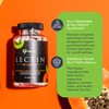 KaraMD Lectin Guard | Colon Cleansing Lectin Blocker | Slippery