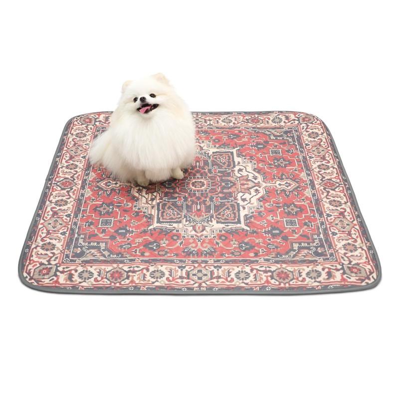 Paw Inspired Designer Print Dog Pads (2 Pack) | Premium